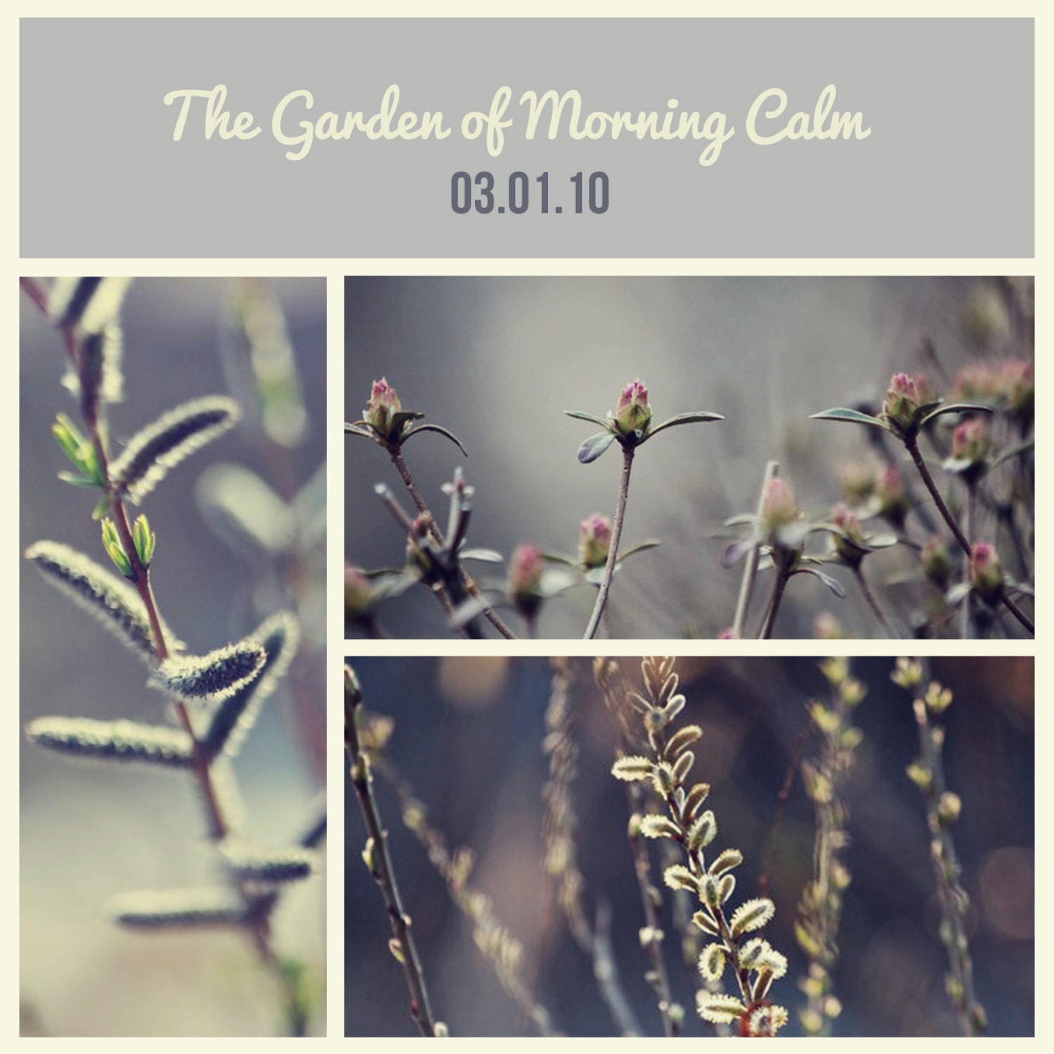 Digital Scrapbooking Template // 12x12 // psd file // 300 DPI // Instant Download Il_170x135