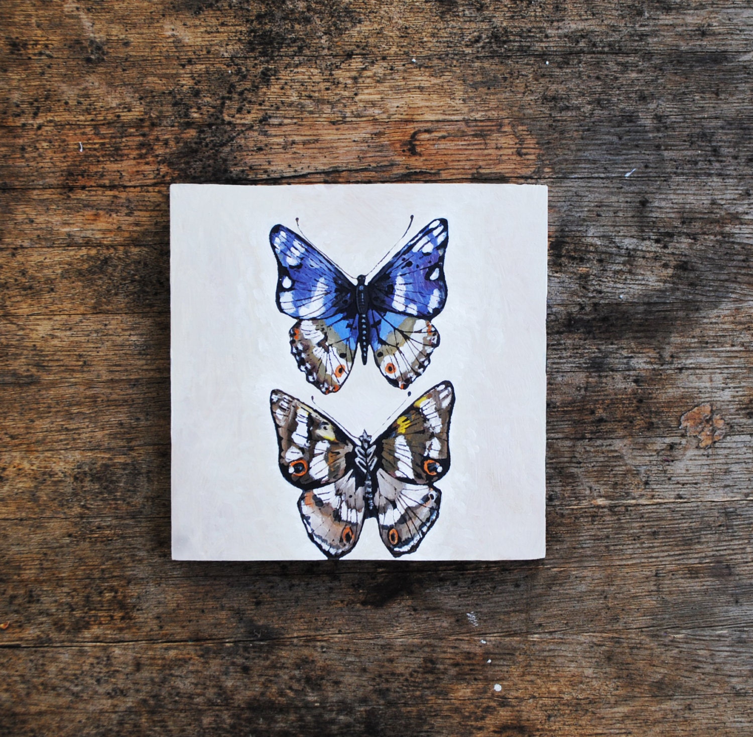 Grand Mars Butterfly Painting.  Original Art.  Butterfly Painting.  Mothers Day.  Gift for Her.  Entomologist.  Naturalist.