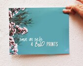 Any 4 Photography Prints in 8x10 or 8x12 Size - Your Choice - 8x10 Fine Art Photographs, Fine Art Prints, Nature Photography, Home Decor
