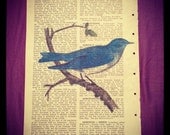 Blue Bird Vintage Encylopedia Art Print - Unique Gift - Spring Trends - Rustic Decor - Shabby Chic - StudioTwentyThree
