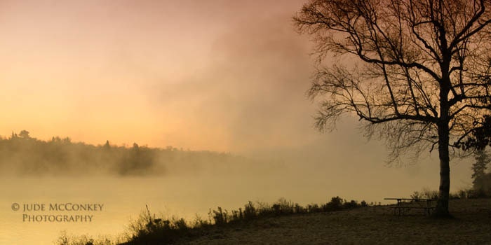 sunrise tree landscape photography 10x20 fine art photograph home decor office decor