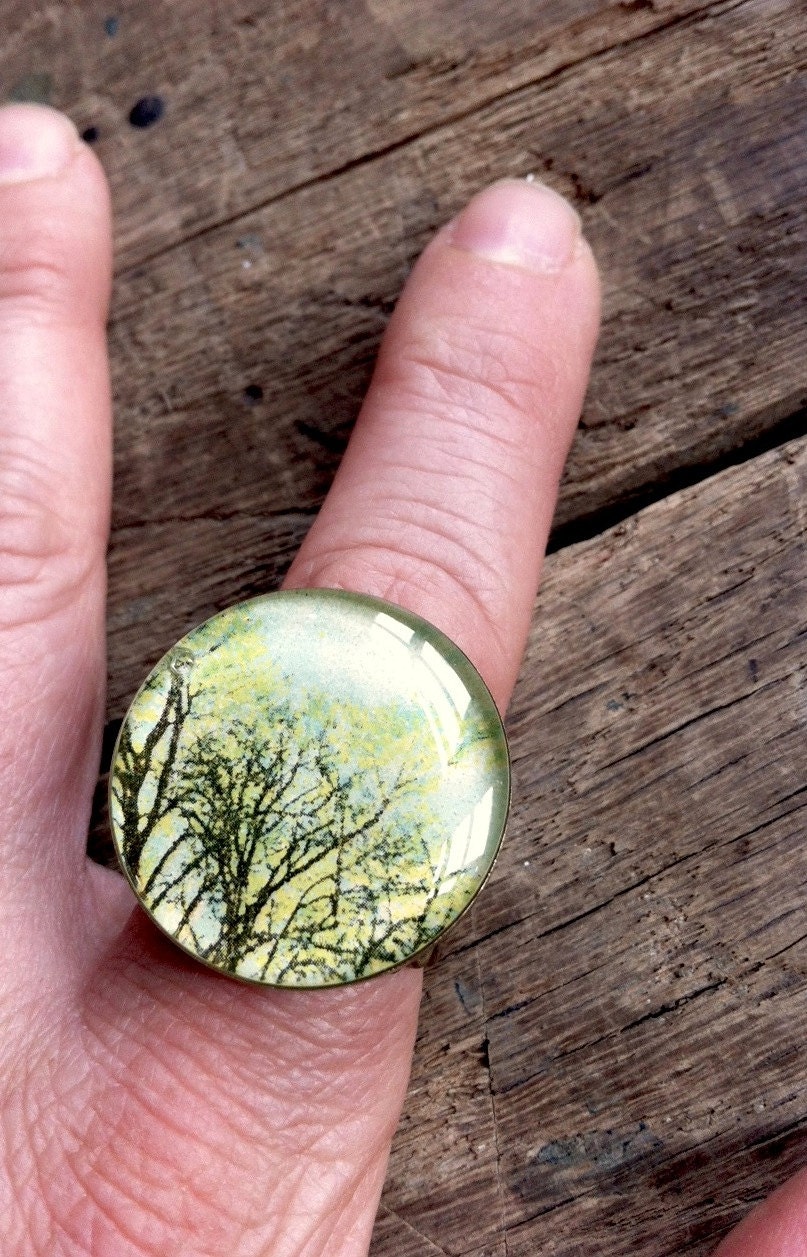 in the trees: repurposed vintage postcard tree illustration adjustable antiqued brass filigree ring