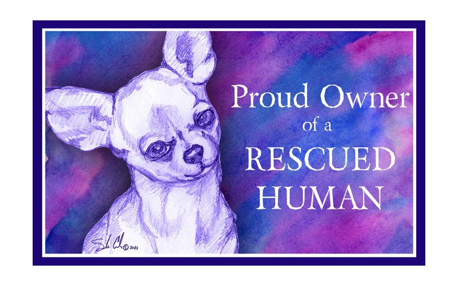 Rescue Dog Chihuahua  Dog Magnet who rescued who