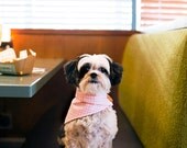 Dog Accessories : Bandana (XXS, XS, S)
