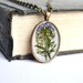 Pressed Flower Resin Jewelry, Real Flower in Resin Necklace, Purple Wild Flower Oval Pendant, Canadian Jewelry