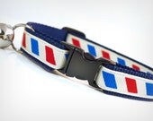 Cat Collar - "Please Mr. Postman" - Air Mail Par Avion Stripes