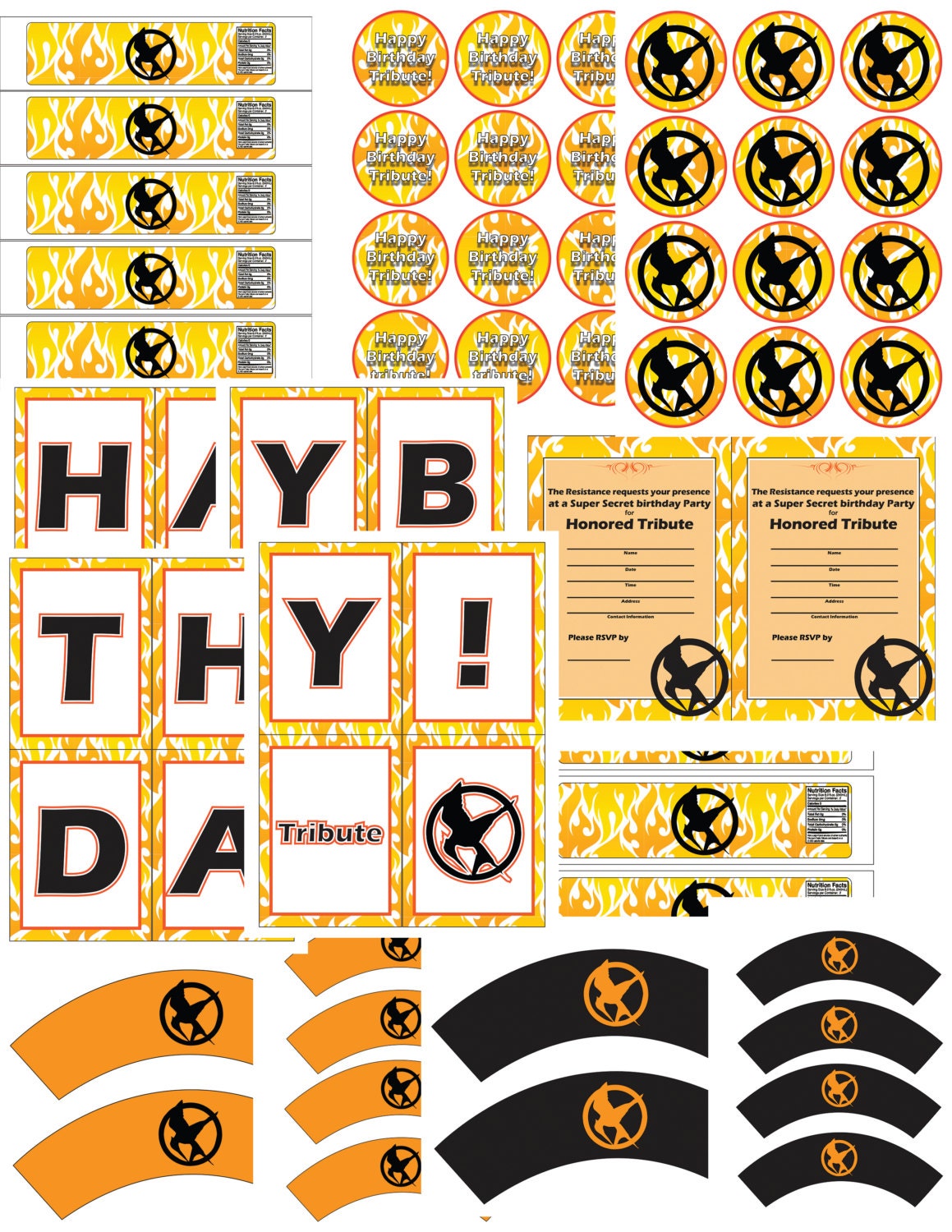 Hunger Games/Katniss Everdeen Inspire/Mocking Jay/ Resist Fire Theme Birthday Party Pack- Blaze Tribute Boy or Girl- Digital
