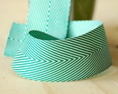 1 Yard Spearmint Green Chevron Ribbon Vintage Style Twill Tape in green and white