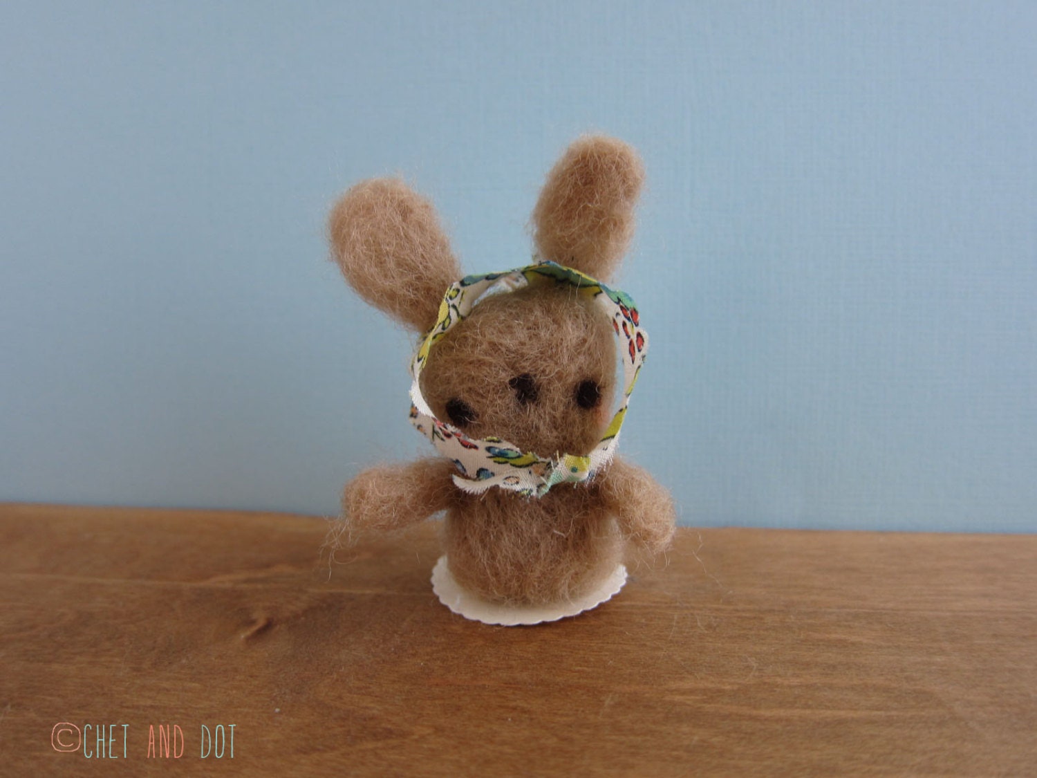 Bunny Wears a Bonnet