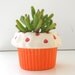 Sweet Heart Cupcake Planter in Orange