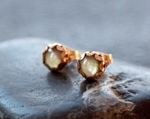 Black Mother of Pearl Gold Stud Earrings Scalloped Post Goldfilled Elegant Gemstone Jewelry