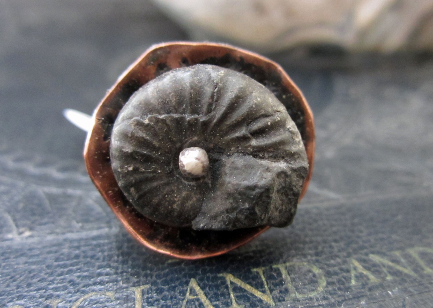 Genuine Morrocan Ammonite Fossil Ring Sterling Silver Copper