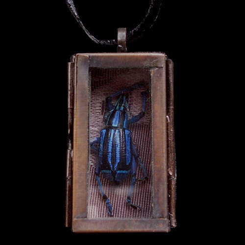 Blue Beetle Reliquary