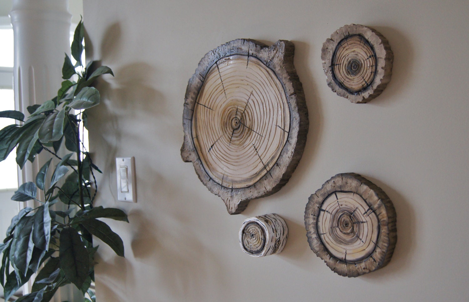Woodland Wall Art 3D  Natural Wood Stump Wall Hanging Plaques -Tree Ring Art