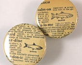 Fish Pinback Button Set