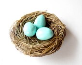 Bird's nest hair clip // Robins Egg, birds nest fascinator hair clip