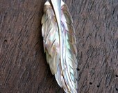 Carved Abalone Feather Pendant