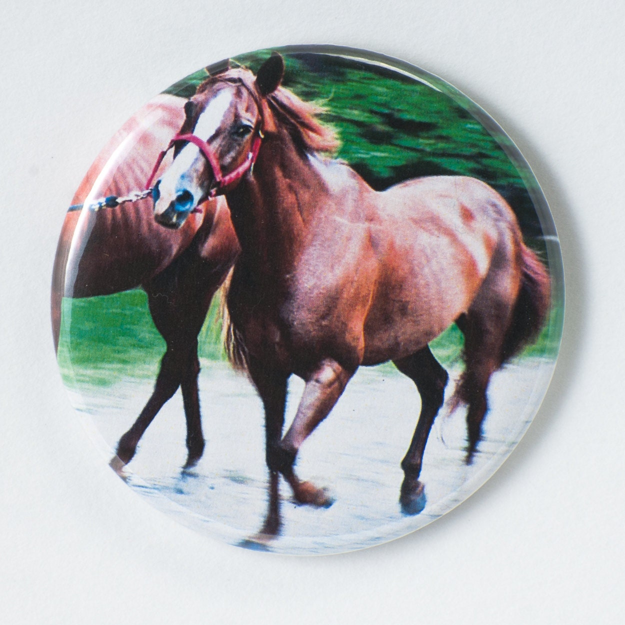 Canter - Flat Art Purse or Pocket Mirror - Original Photo of Running Horse by Nathan Baerreis - Velour Bag included 2 1/4 Inch