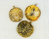 Lot of 3 Vintage Sand Dollar Pendants Gold Tone Pewter Antiqued 30 to 34 mm