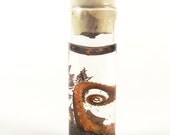 Tentacle Pendant Sp17