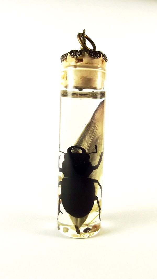 Stag Beetle Pendant--OOAK