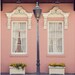 Southern Charm - Charleston, South Carolina, Color Photography, Pastel Pink, Spring Home Decor, Windows, Architecture, American South