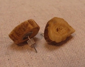Antler Stud Earrings-Sliced Dropped Antler