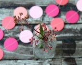 Pink and Peach Garland . 10 ft Paper Garland .  Wedding Decorations / Pastel Ombre Party Decor