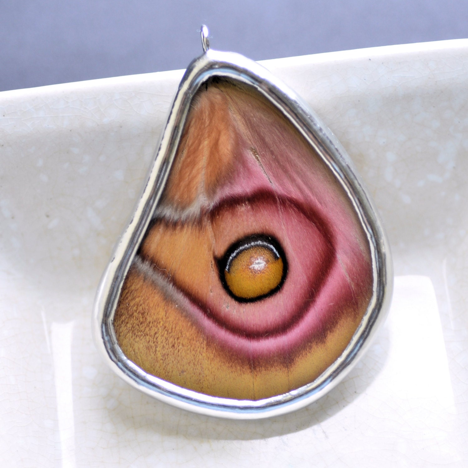 Real Moth Wing Necklace Antheraea suraka