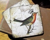 Song Bird - Wood Coaster(s) - Wooden Drink Coaster set (4) Bird with Crown on Vintage Map Print