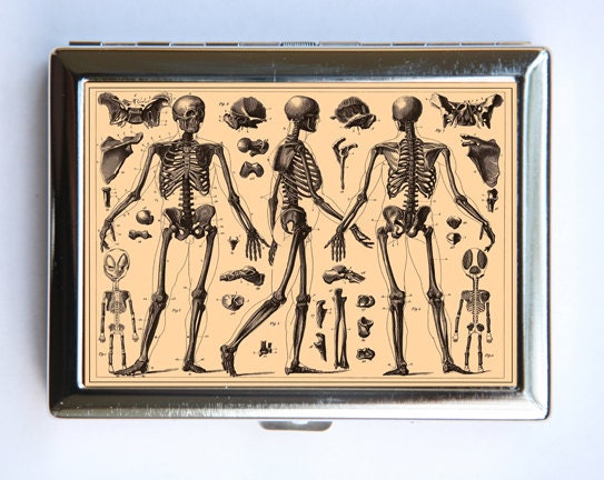 Anatomy Skeletons Cigarette Case Wallet Business Card Holder gothic victorian medical