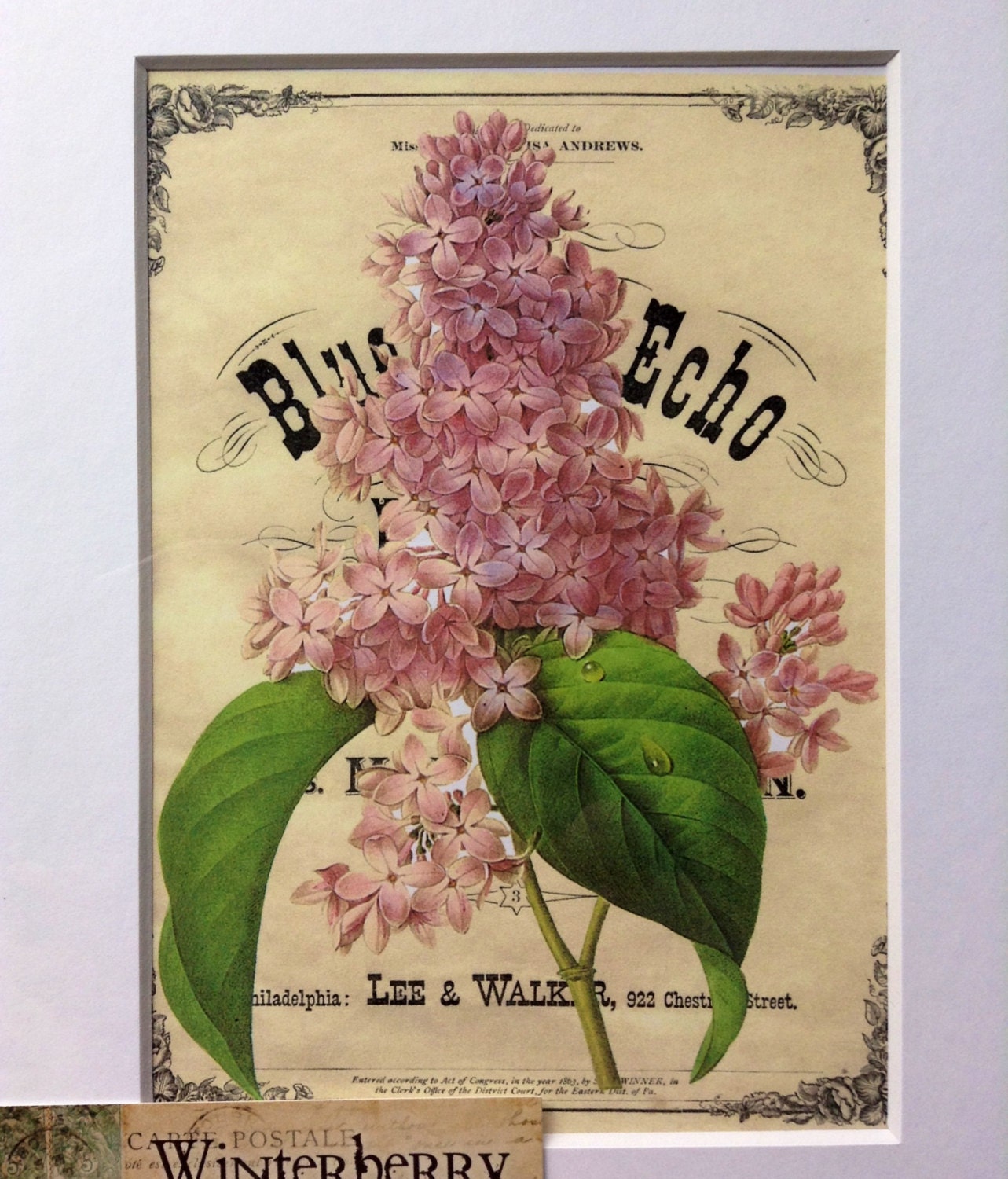 Lilac, Flowers, Pink Flowers, Print, Vintage Advertisment, Winterberry Cottage