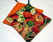 Kitchen  Potholders handmade featuring Fresh Vegetables - set of 2