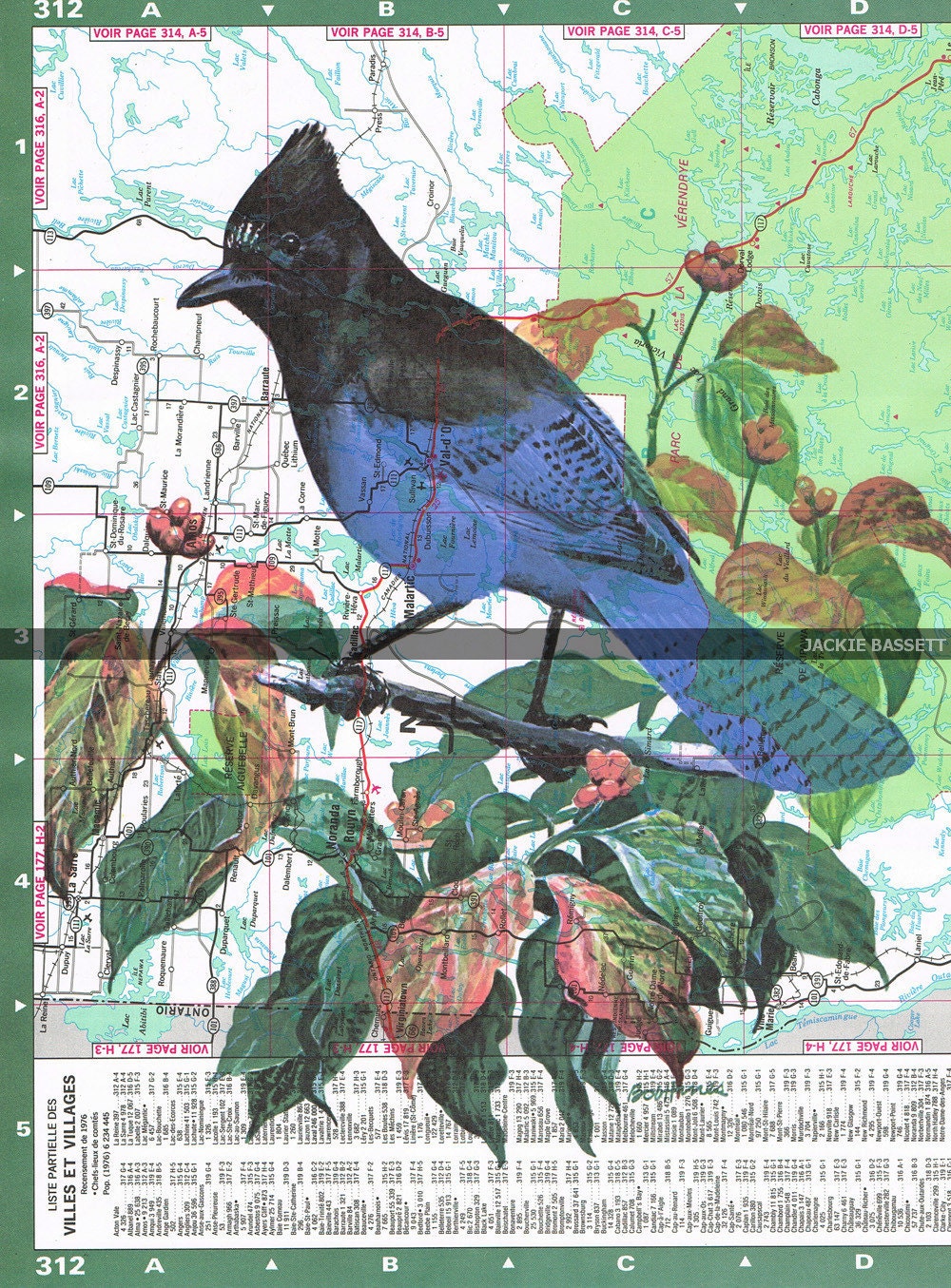 BLUE JAY.bird.Colourful.Collage.Map Page Print,home/deco.affordable,art,freebie/Fathers day.mom.dad.eco.nature