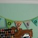 Custom Flag Banner, Personalized Bunting Flag Decoration. 8 Flags, 8 Foot Long Garland.  Up to 6 letters, with an option for more.