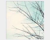 Bare Branches: square fine art photograph print of winter tree and sky (nature, black, white, aqua, dreamy)