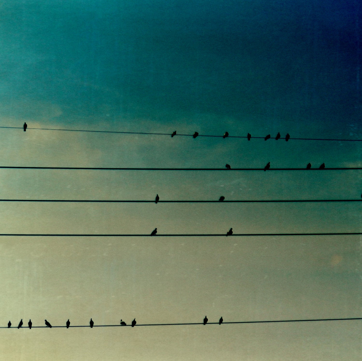 tightrope walkers