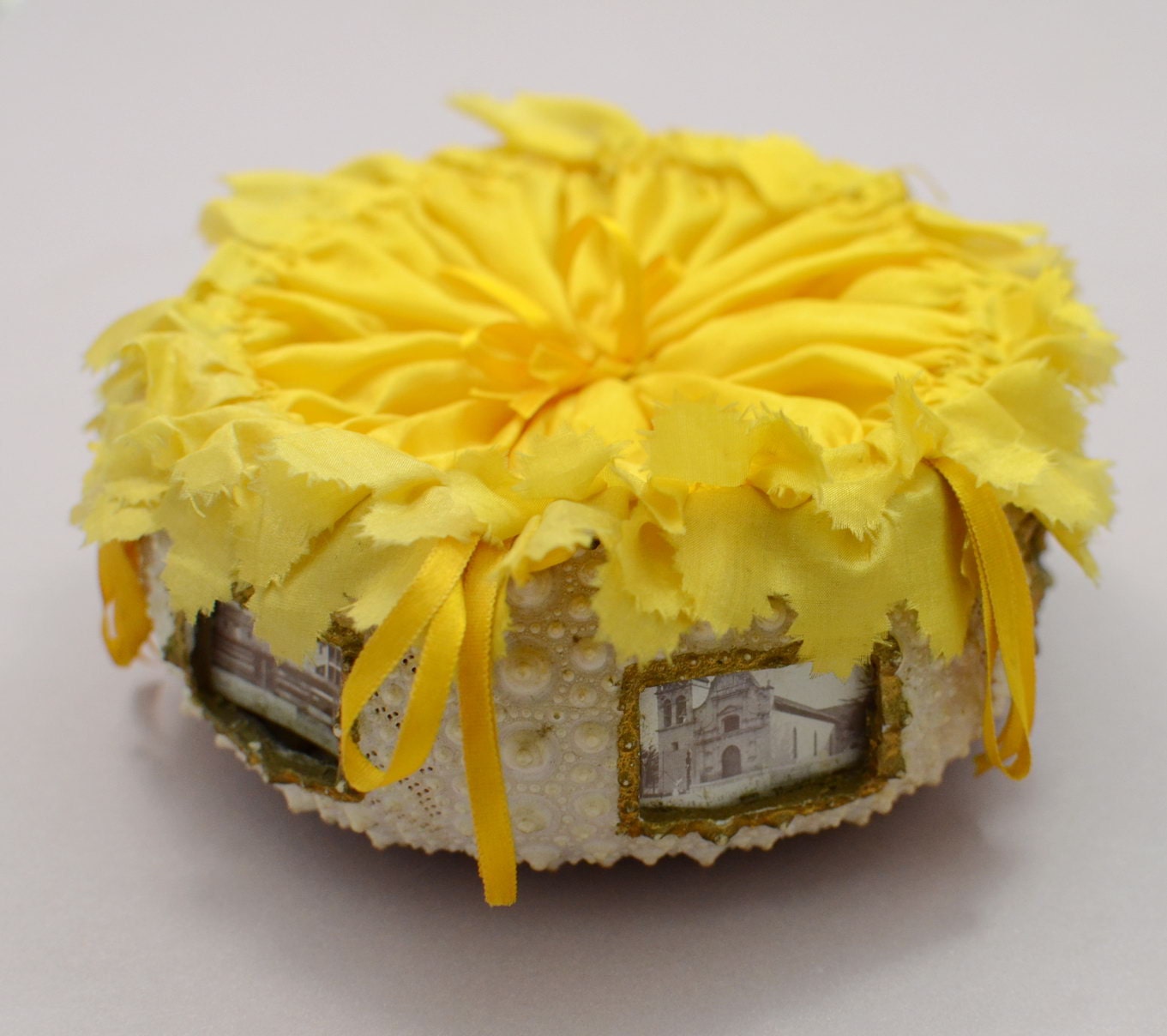 Vintage Box Yellow Silk Ribbon Sea Urchin Shell Photos Arts and Crafts