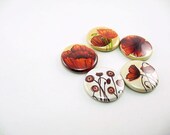 Poppy Magnets for your Fridge / Five 1 Inch button magnets no 3 / fits Magnabilities 1169