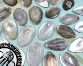 10 Piece Flattened Sterling Silver Plated Spoon Assortment - With Holes - Pendant Necklace Bracelet Belt Parts - For Metal Stamping Projects
