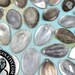 10 Piece Flattened Sterling Silver Plated Spoon Assortment - With Holes - Pendant Necklace Bracelet Belt Parts - For Metal Stamping Projects