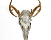 Super Glam Gold and Swarovski Crystal Encrusted Deer Skull