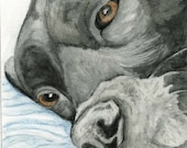 Sleepy Black Lab Dog Original Pencil Drawing Pet Art-Carla Smale
