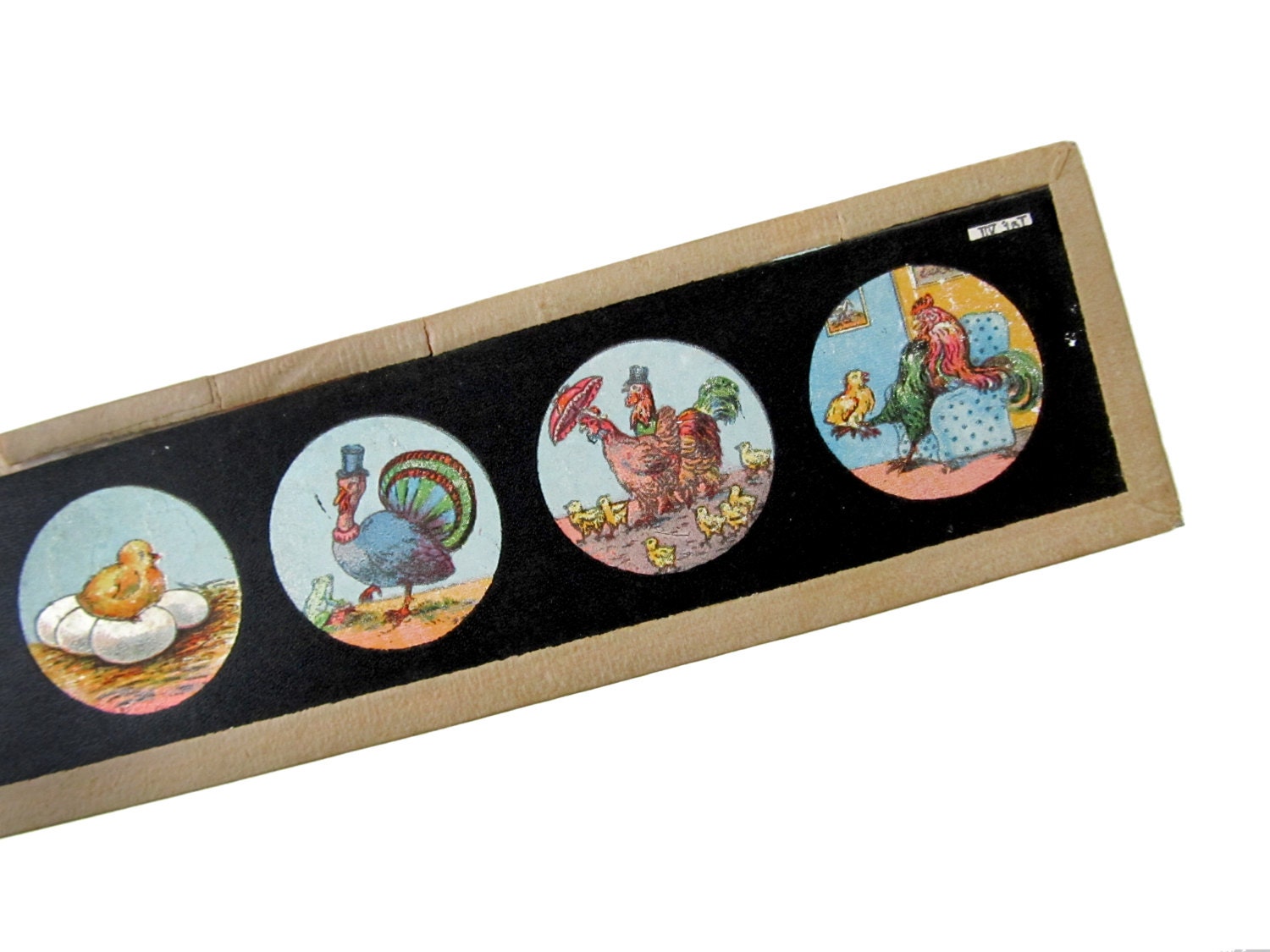 Antique SPRING CHICKS Magic Lantern Glass Slide