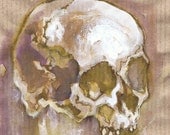 tobacco brown skull