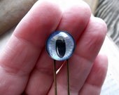Third Eye, Hair or Bun Pin,Blue Cat Eye