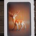 Plastic  Toy Deer  -Notecard 5x7