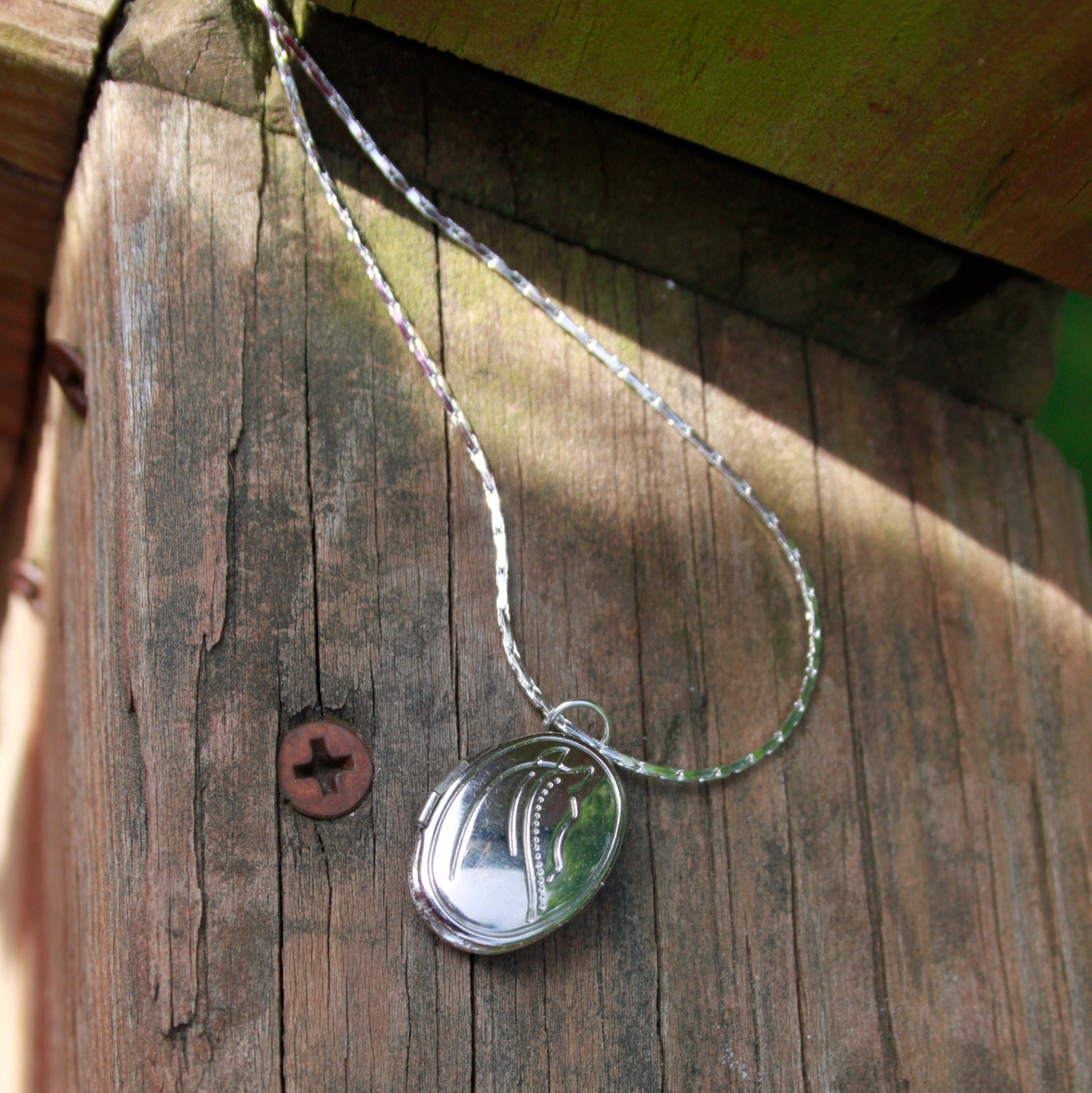 Wild Horses Vintage Locket Breast Milk Pendant.