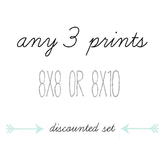 DISCOUNTED SET, You Choose Any Three Photographs, 8x8 or 8x10, Gift Set, Home Decor, Photo Collection