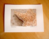 Starfish Original Signed Watercolor Painting